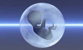 مراحل سقط جنین