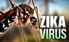ویروس زیکا از طریق بزاق منتشر نمی شود